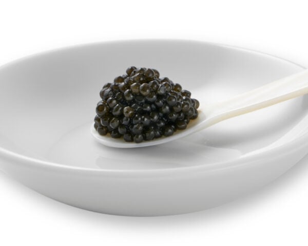 OLMA Siberian Spoon