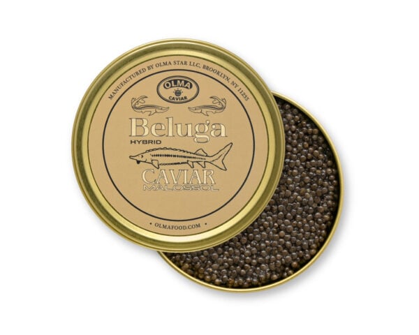 OLMA Beluga Caviar
