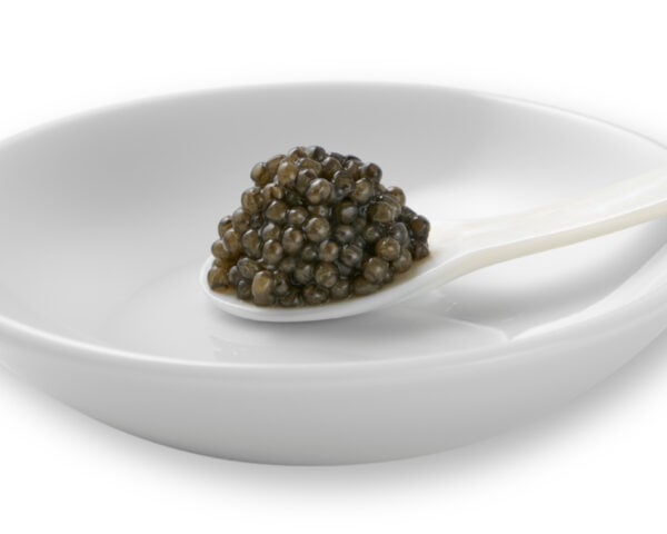 OLMA Beluga Spoon