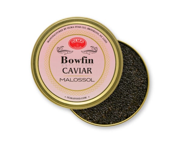 OLMA Bowfin Caviar