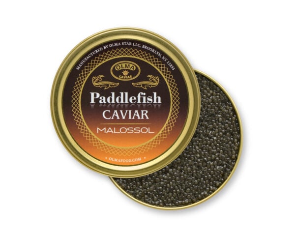 Gold tin labeled Paddlefish Caviar Malossol by OLMA, open to reveal tiny black caviar pearls.