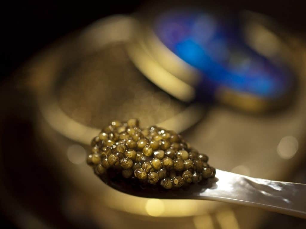 Kaluga Caviar
