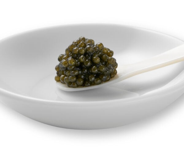 OLMA Kaluga Spoon