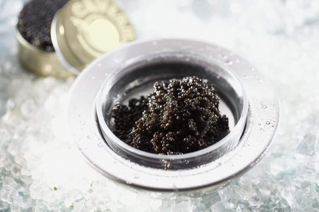 bank_caviar_on_ice