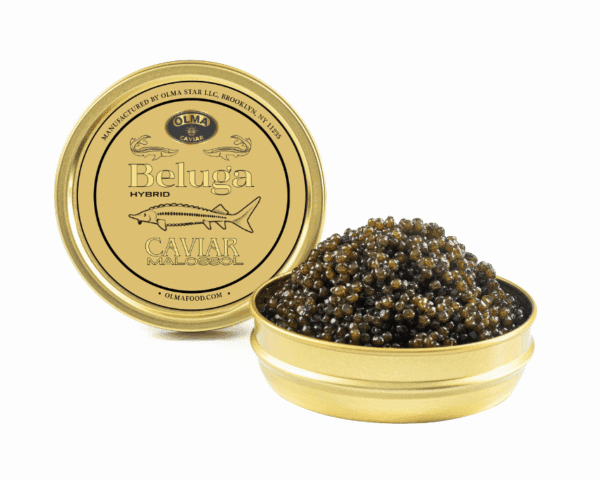 Beluga 125g - OLMA Caviar