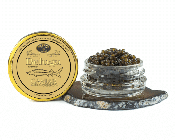 Beluga 14g - OLMA Caviar