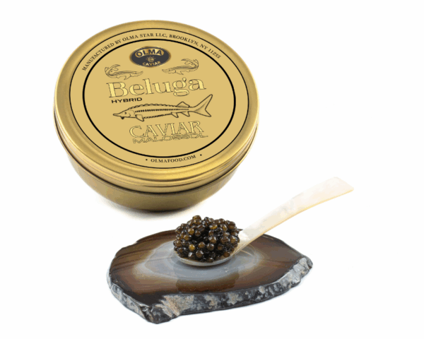 Beluga 250g - OLMA Caviar