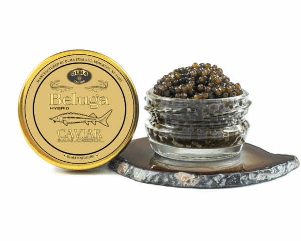 Beluga 28g - OLMA Caviar