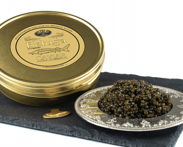 Beluga 500g - OLMA Caviar