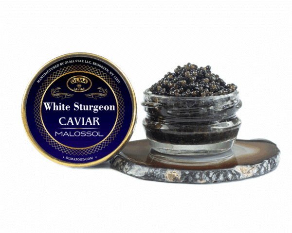 OLMA White Sturgeon Caviar 1 oz - OLMA Caviar