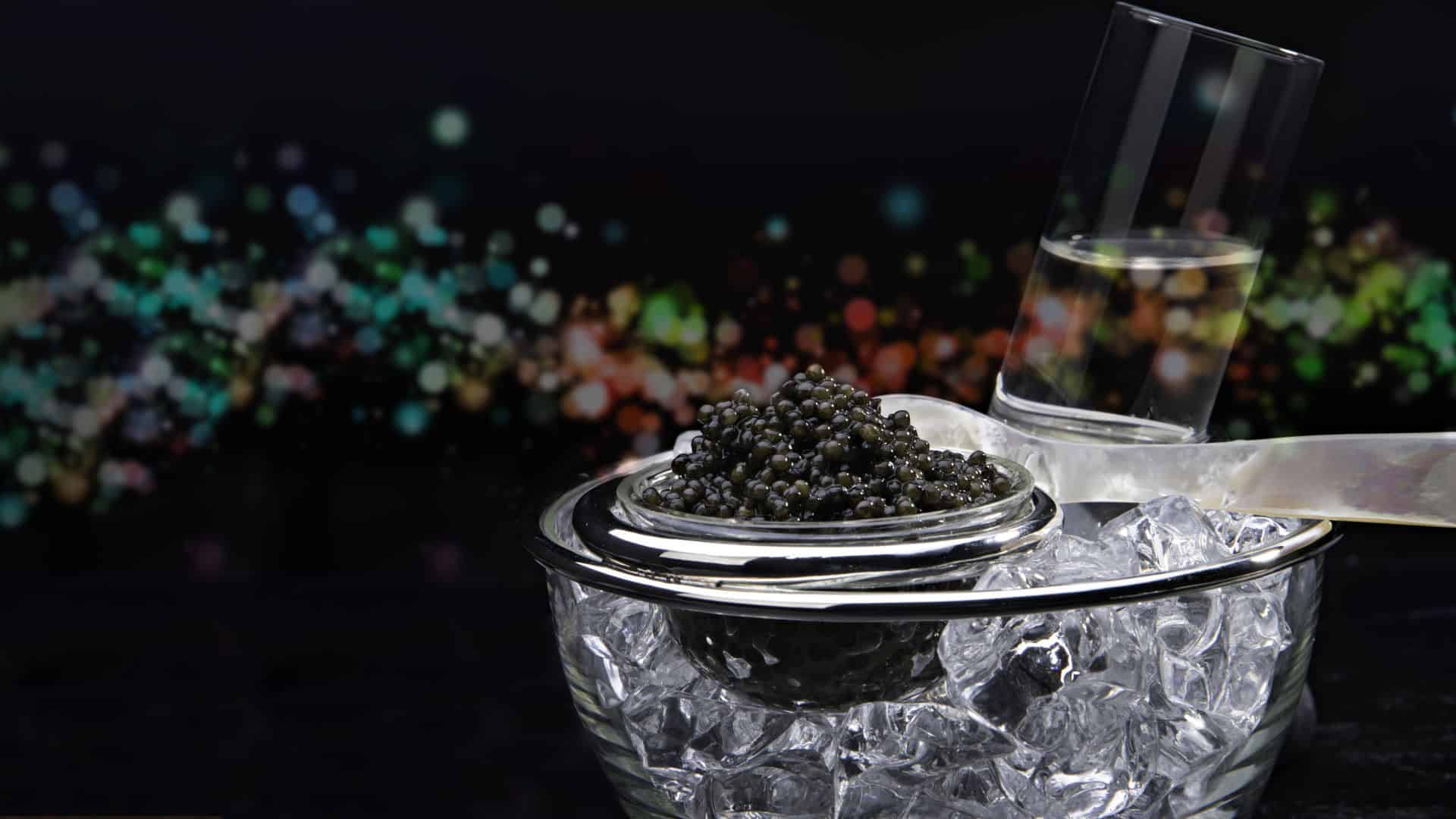 olma caviar gift