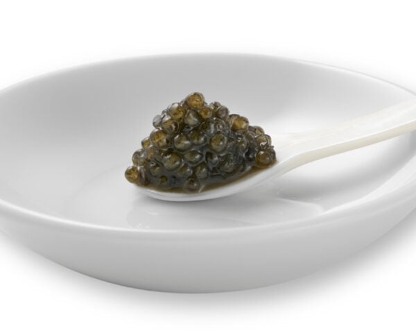 OLMA Sevruga Spoon