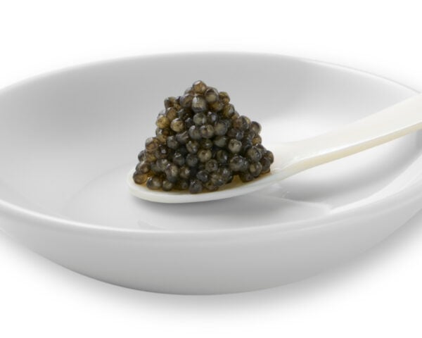OLMA Sterlet Spoon