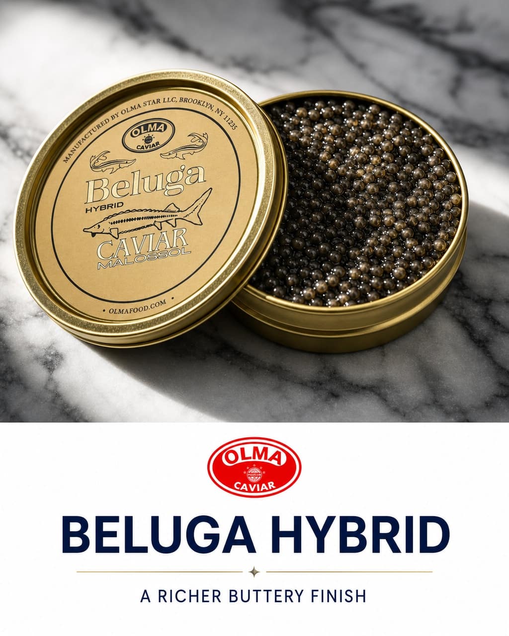 Tin of Beluga Hybrid caviar opened to reveal dark pearl grains on a marble surface, with OLMA branding visible on lid.