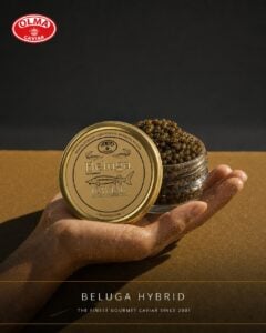 Hand holding a tin of Beluga Hybrid caviar with a jar of caviar pearls, OLMA logo in the corner, ad-style backdrop. The text Beluga Hybrid and tagline appear on the bottom.